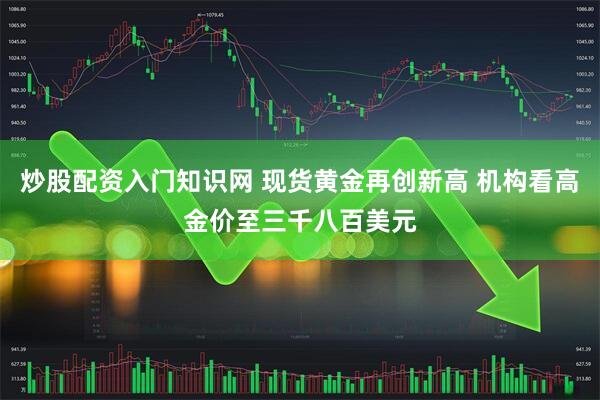炒股配资入门知识网 现货黄金再创新高 机构看高金价至三千八百美元