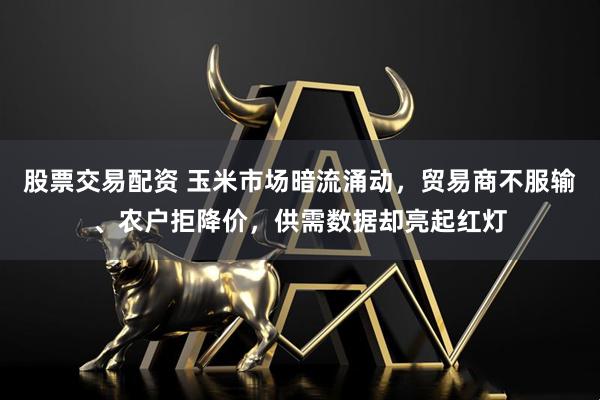 股票交易配资 玉米市场暗流涌动，贸易商不服输、农户拒降价，供需数据却亮起红灯