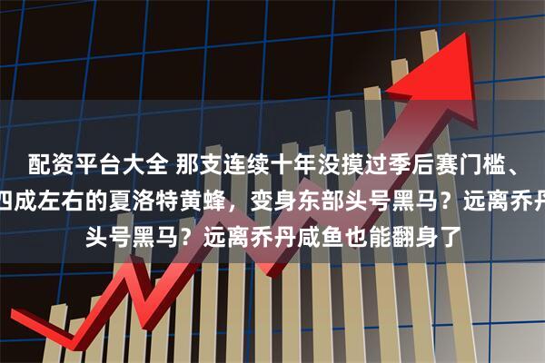 配资平台大全 那支连续十年没摸过季后赛门槛、胜率常年徘徊在四成左右的夏洛特黄蜂，变身东部头号黑马？远离乔丹咸鱼也能翻身了