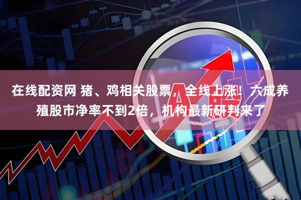 在线配资网 猪、鸡相关股票，全线上涨！六成养殖股市净率不到2倍，机构最新研判来了