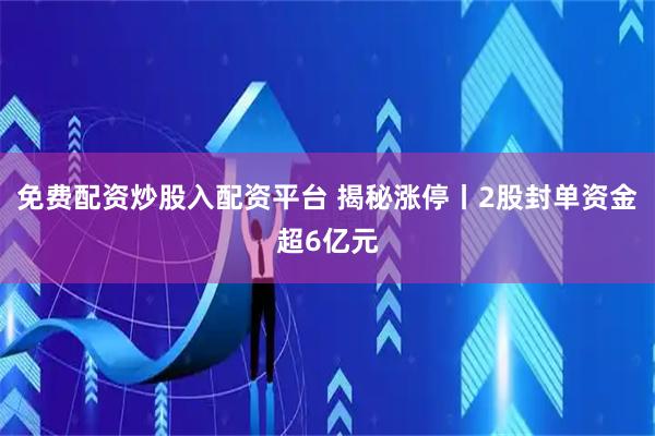 免费配资炒股入配资平台 揭秘涨停丨2股封单资金超6亿元